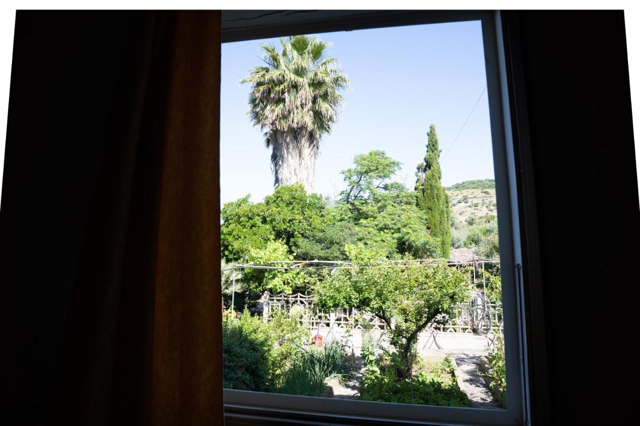 Le Case Nel Vitigno - Modolo Modolo  Exteriér fotografie